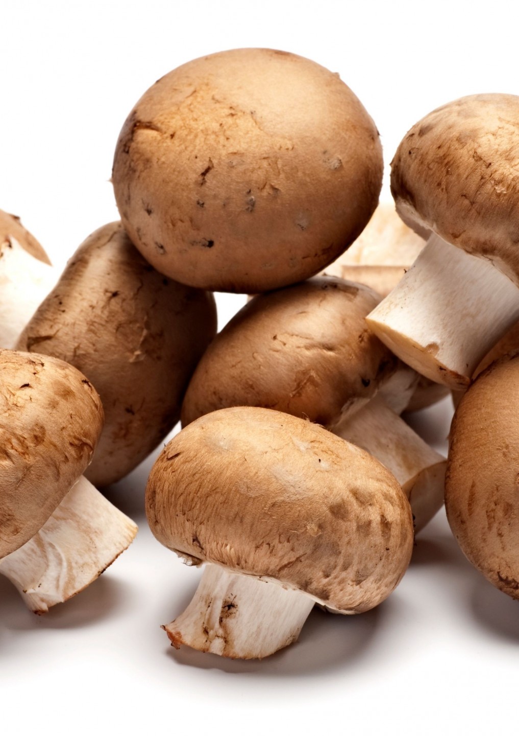 Bulk Buy Chestnut Mushrooms Paris Brown Wholesale KFF   HD DV0024 Chestnut Mushrooms 1 